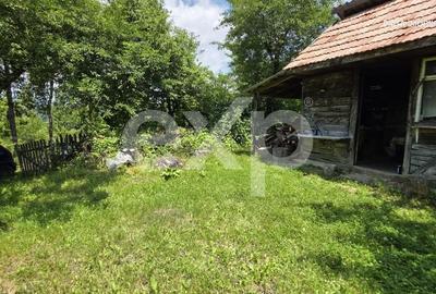 Casă cu 5 camere cu Teren 4489 Mp în Râu Alb - 5
