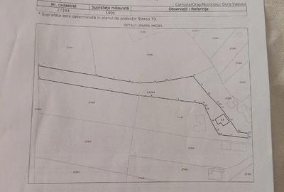Casă cu Teren 2000 Mp în Gura Vadului - 2