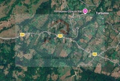 Teren agricol extravilan de 11740 mp, în Corbeni - 1