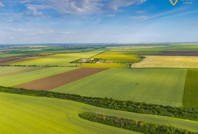 Teren agricol extravilan de 44900 mp, în Aradul Nou - 5