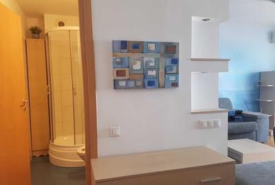 Garsonieră decomandată în Lujerului