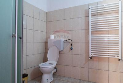 Casă individuală cu 10 camere cu Teren 1348 Mp în Sânbotin - 17