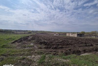 Teren de 3300 mp, în Periș - 2