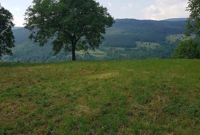 Teren de 2800 mp, în Talea - 3
