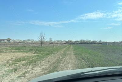 Teren de 668 mp, în Sânmihaiu Român - 3