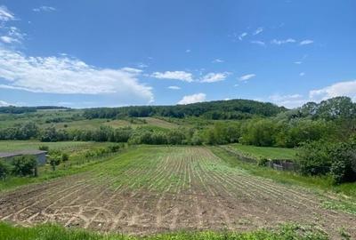 Teren de 4500 mp, în Gâdinți - 5