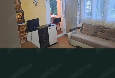 Casă cu Teren 1600 Mp în Ștefănești