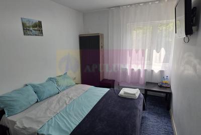 Casă individuală cu 7 camere cu Canalizare în Valea Doftanei - 12