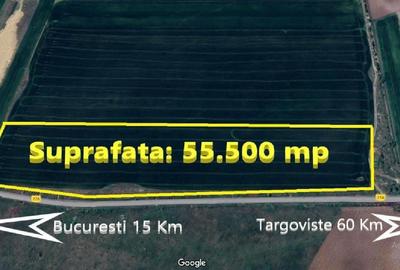 Teren în Ciocănești
