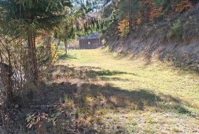 Casă cu 2 camere cu Teren 4500 Mp în Central