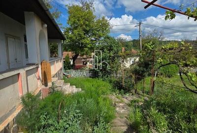 Casă cu 3 camere cu Teren 1192 Mp în Criș - 6