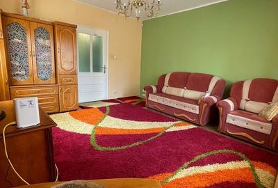 Casă cu 6 camere cu Teren 1745 Mp în Aradul Nou - 11
