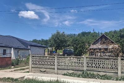 Teren de 1531 mp, în Livada (Iclod) - 3