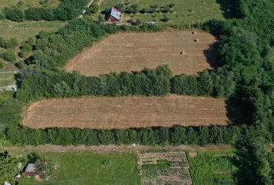 Teren agricol intravilan de 2763 mp, în Exterior Est - 1