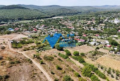 Casă individuală cu 4 camere cu Canalizare în Telița - 18