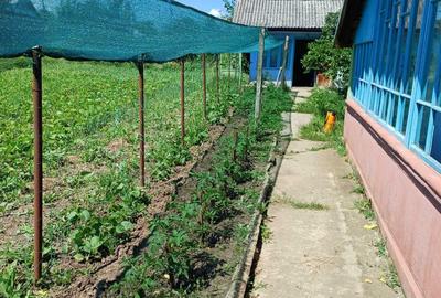 Casă cu 3 camere în Popești - 1