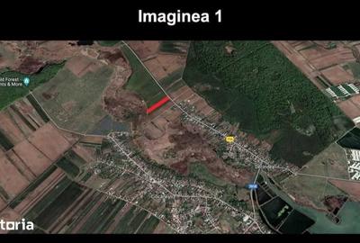 Teren de 24260 mp, în Ciocănești - 4