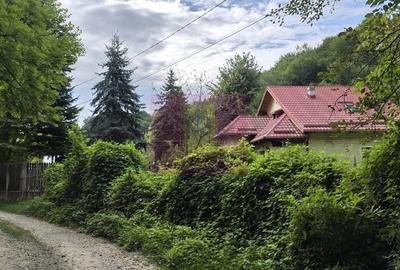 Teren de 15000 mp, în Telega