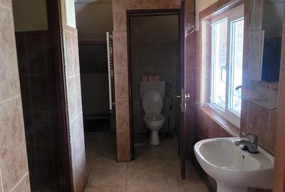 Spațiu comercial, de 700 mp, în Berzasca - 8