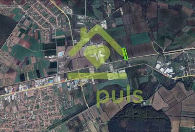 Teren agricol extravilan de 37500 mp, în Ghiroda - 2