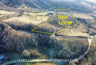 Teren Construcții intravilan de 8630 mp, în Est - 7