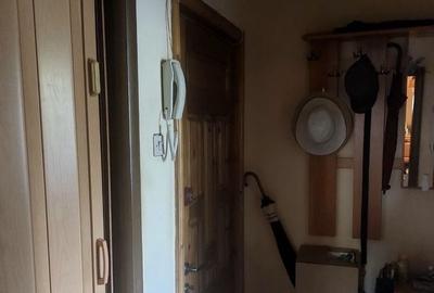 Apartament cu 2 camere semidecomandat în Craiovița Nouă