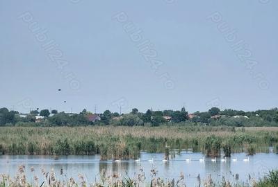 Teren de 250000 mp, în Comana - 6