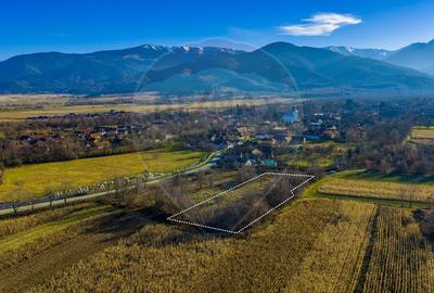 Teren Construcții intravilan de 4200 mp, în Dejani - 7