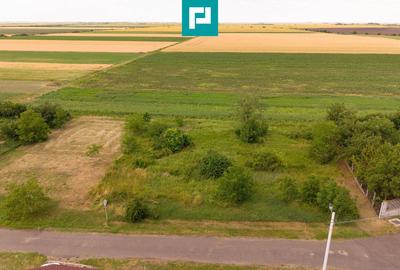 Teren Construcții intravilan de 602 mp, în Cicir - 16