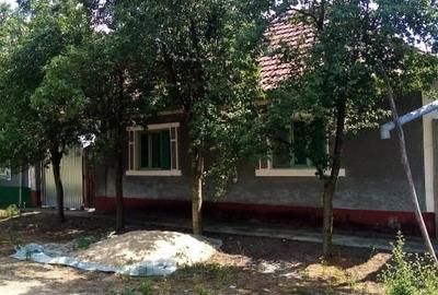 Casă individuală cu 3 camere cu Canalizare în Zerindu Mic - 8