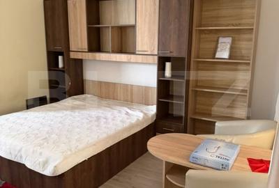 Garsonieră decomandată, mobilată în Steaua - 3
