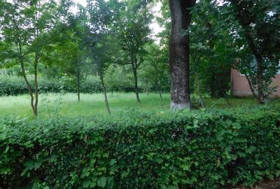 Apartament cu 2 camere semidecomandat în Gheorgheni - 9