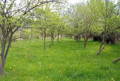 Teren agricol intravilan de 1800 mp, în Valea Siliștii