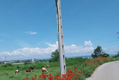 Teren de 3700 mp, în Central - 3