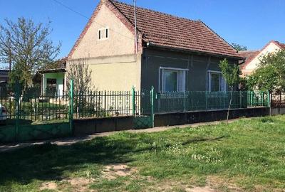 Casă cu 4 camere cu Teren 6 Mp în Sanislău - 1