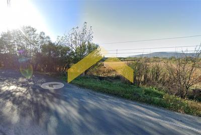 Teren Construcții intravilan de 4000 mp, în Bârzava - 2