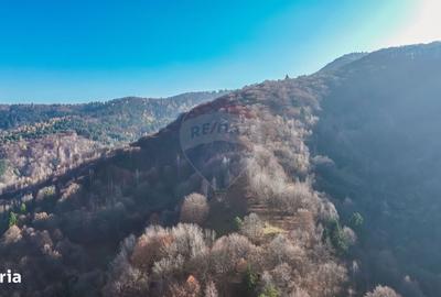 Spațiu comercial, în Schei - 12