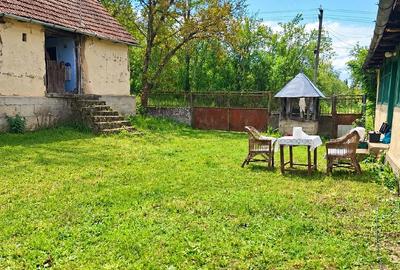 Casă cu Teren 2600 Mp în Feniș