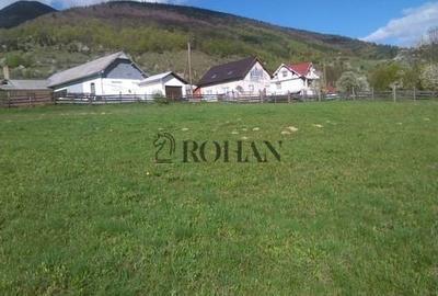Teren intravilan de 5360 mp, în Tiha Bârgăului