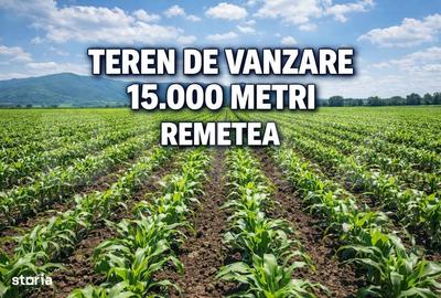 Spațiu comercial, în Remetea Mare - 1