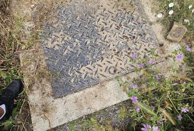 Teren de 1500 mp, în Valu lui Traian - 6