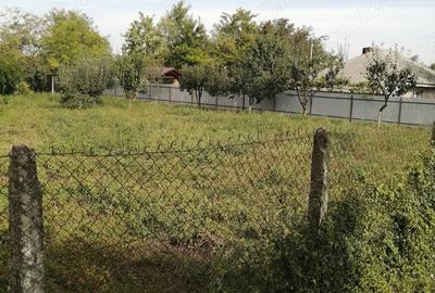 Teren în Gheorghe Lazăr