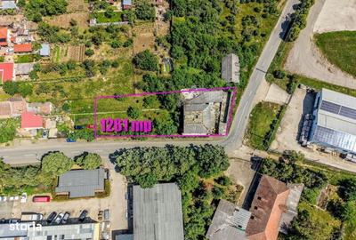 Spațiu comercial, în Aradul Nou