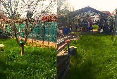 Teren de 470 mp, în Bercu Roșu - 3