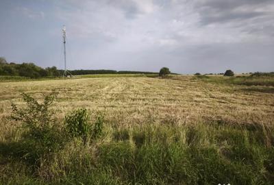 Teren în Negostina