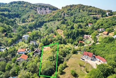 Teren Construcții intravilan de 2300 mp, în Schei - 1