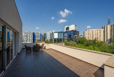 Apartament cu 4 camere decomandat în P-ța Victoriei - 18