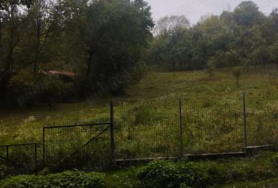 Teren de 6385.6 mp, în Berislăvești - 4