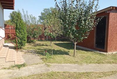 Casă cu Teren 1546 Mp în Gruiu - 9