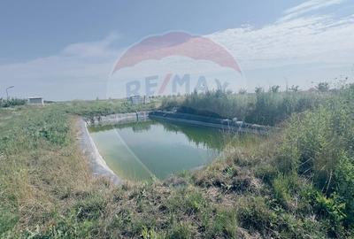 Teren agricol extravilan de 16750 mp, în Cârcea - 9